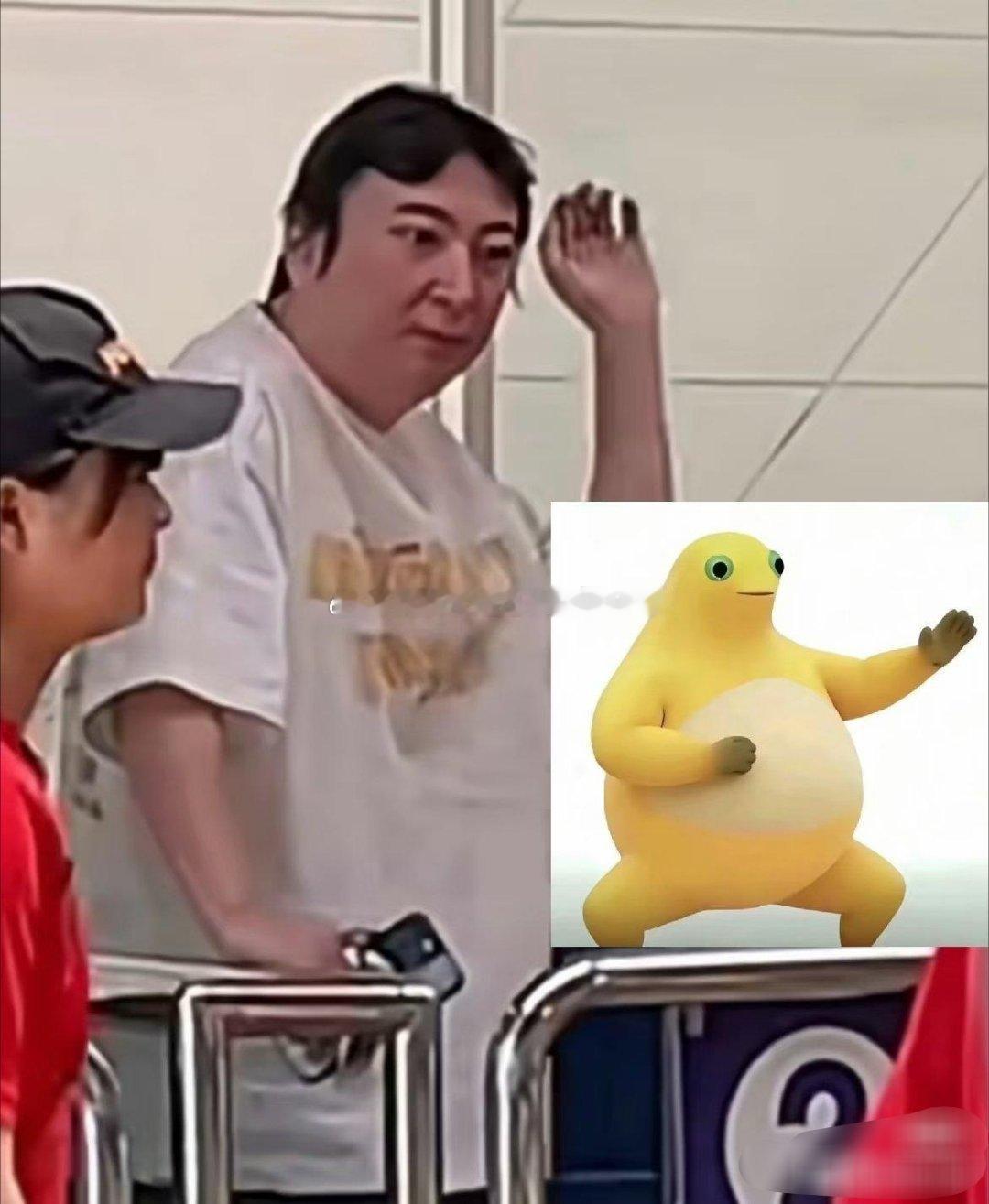 这是王思聪吗？怎么胖成这球样