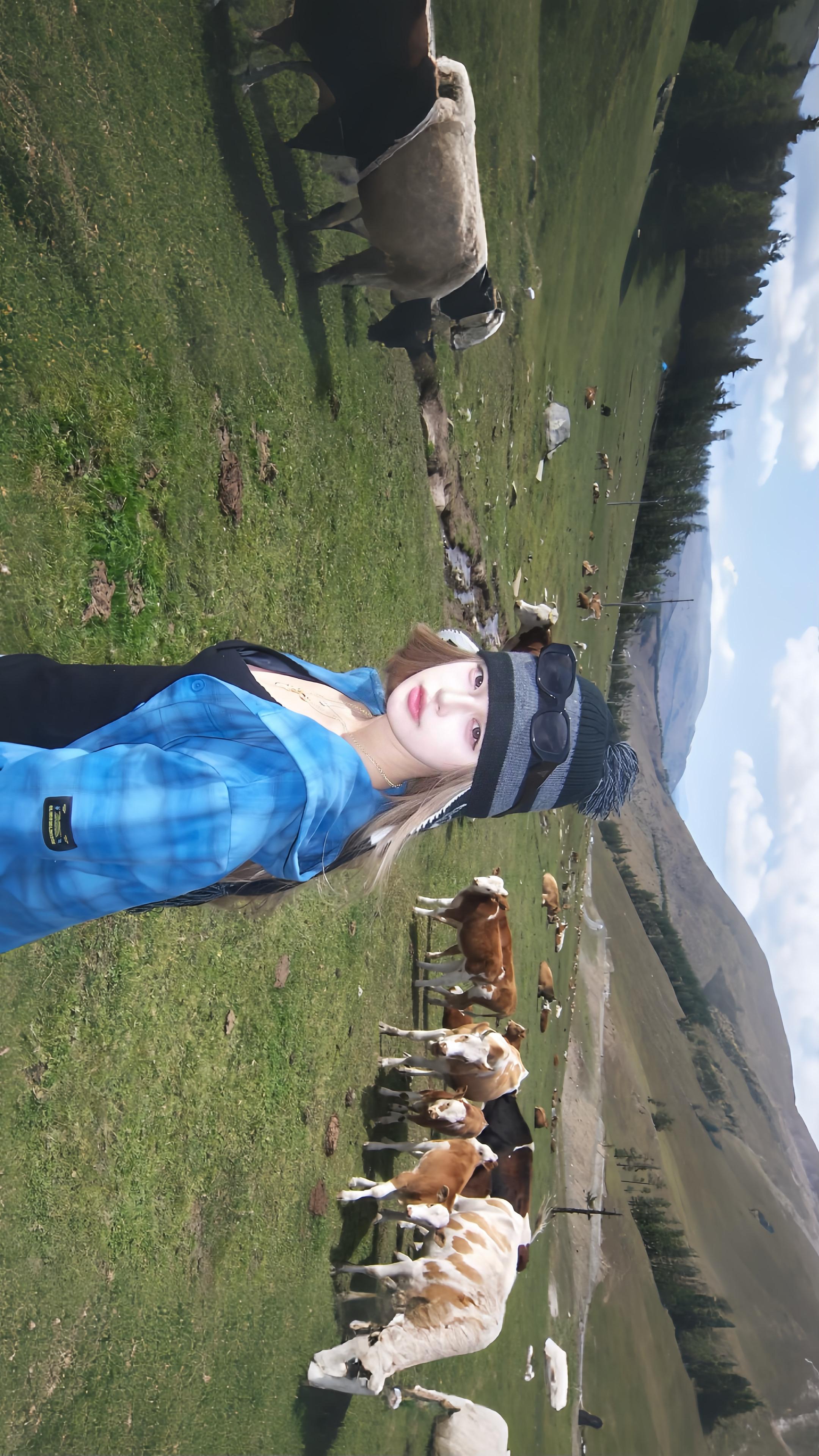 真好听啊 像离别 像重逢 像释怀 像遗憾。