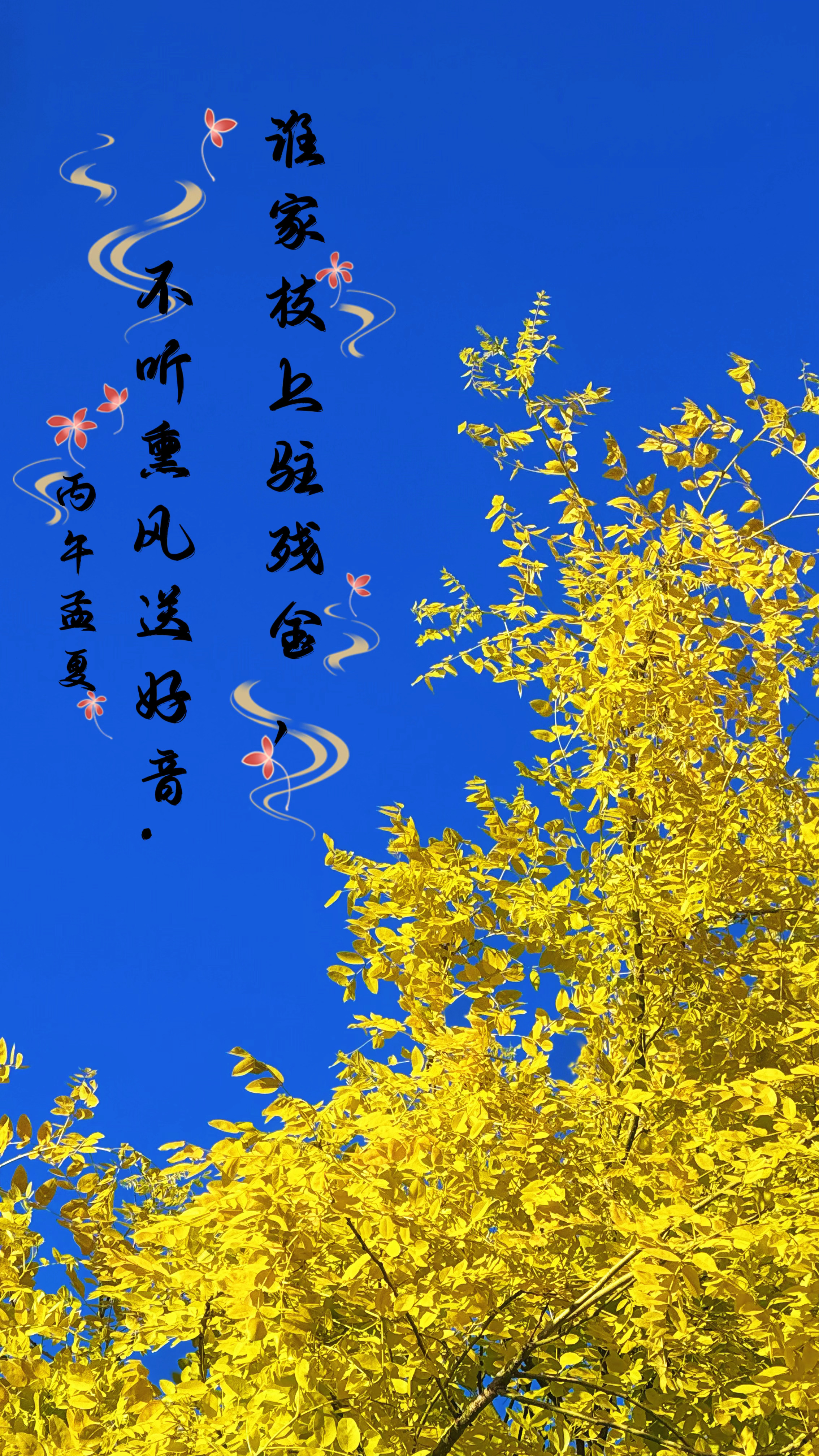 俞浩称追觅要与苹果三星三分天下我曾经也想让每个员工都起号 谁的模式起来了，就给她