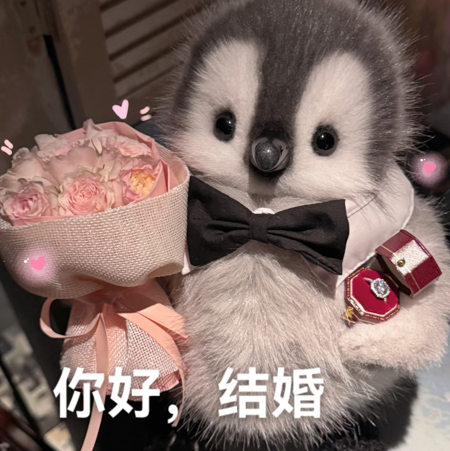 哥哥我准备好了 