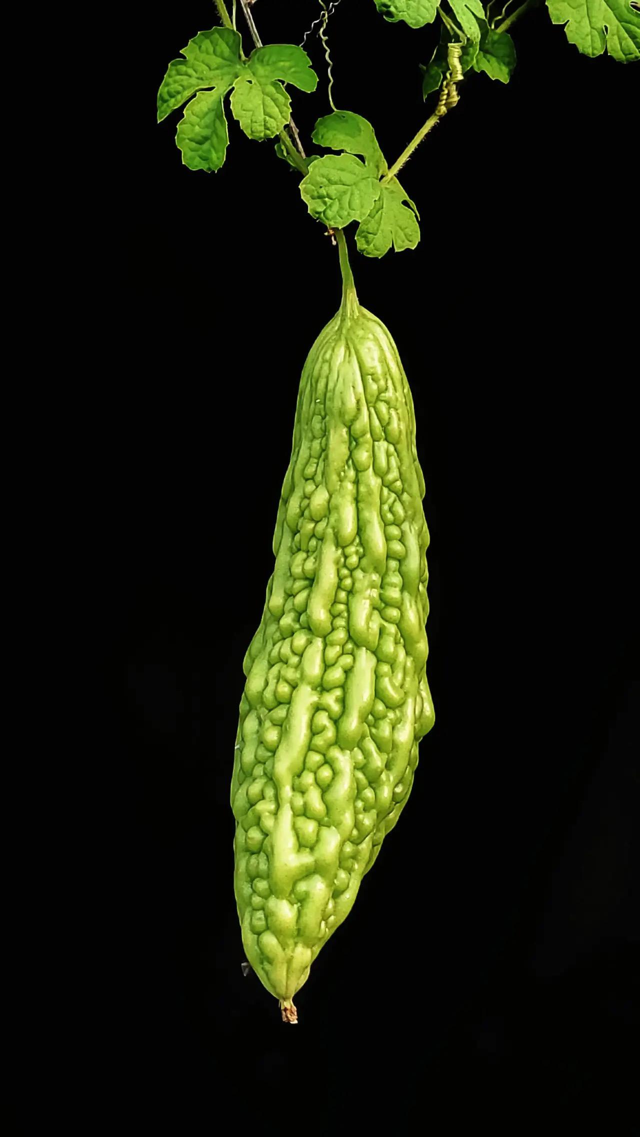 年底作品：只苦自己，不苦别人！