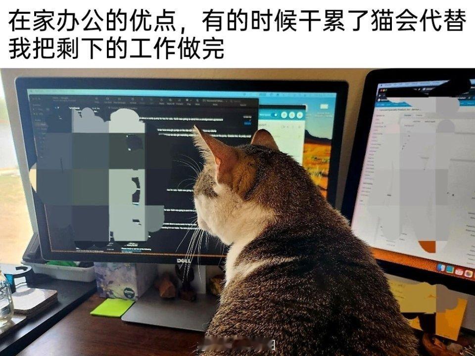 希望是真的 ​​​