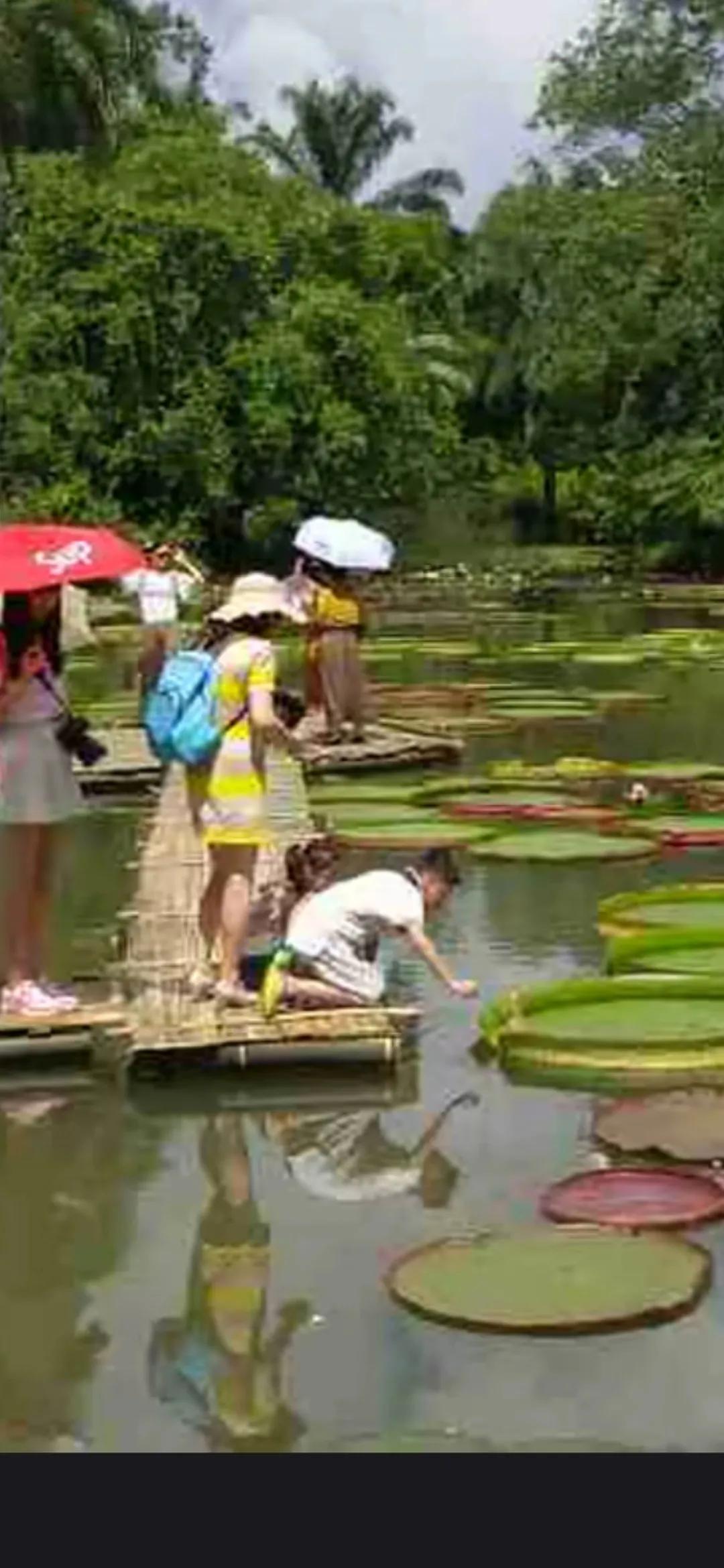 #秋日生活打卡季#秋日度假