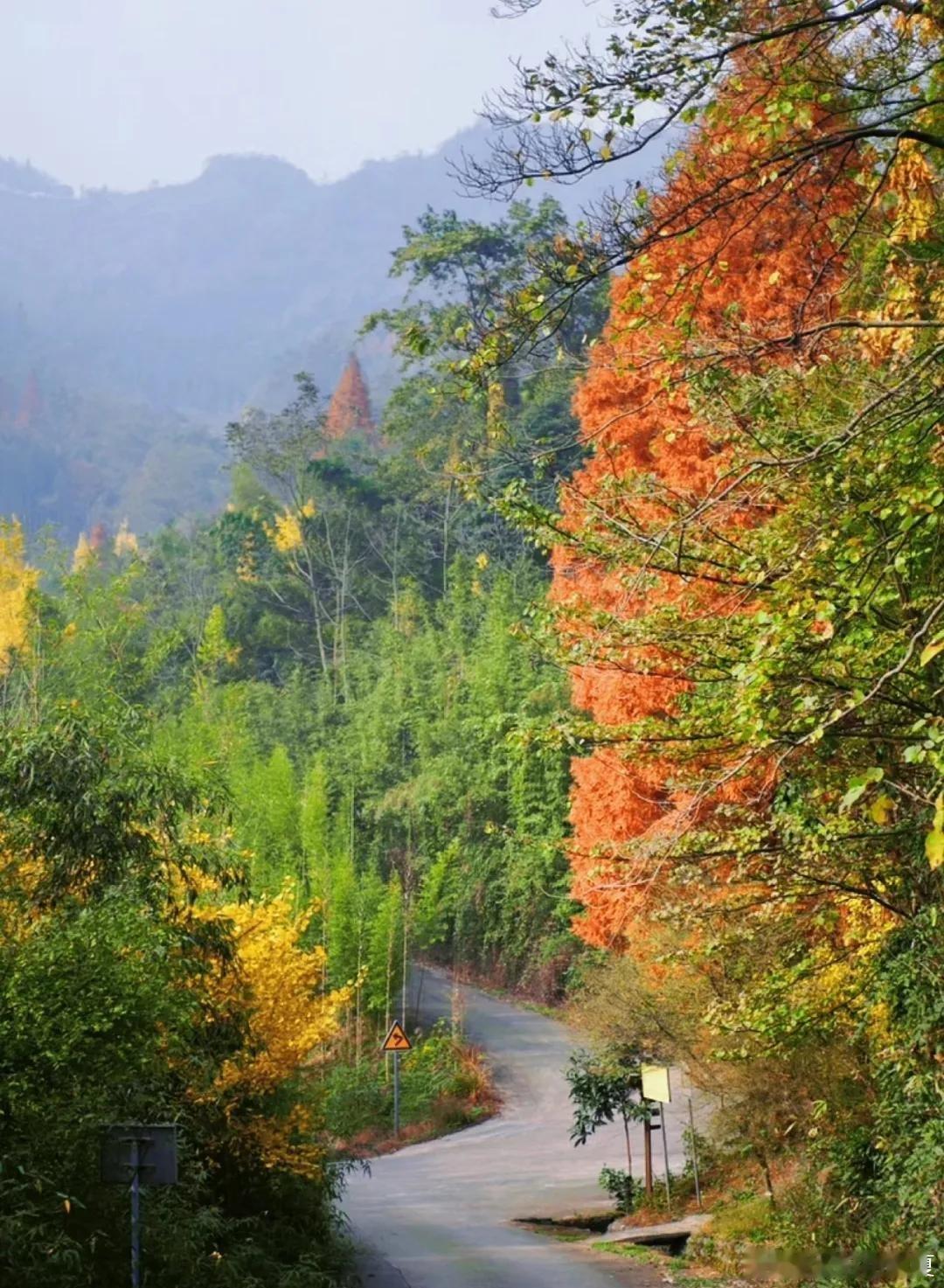 四川仁寿牛角寨，藏在山林间的千年石窟，人少清幽。石阶蜿蜒入林海，大佛静守岁月，远