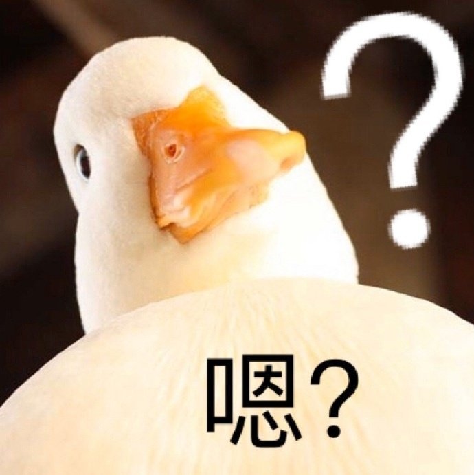 原价899的耐克降至429消费者仍不买账好奇你们觉得降价到多少才合适呢？