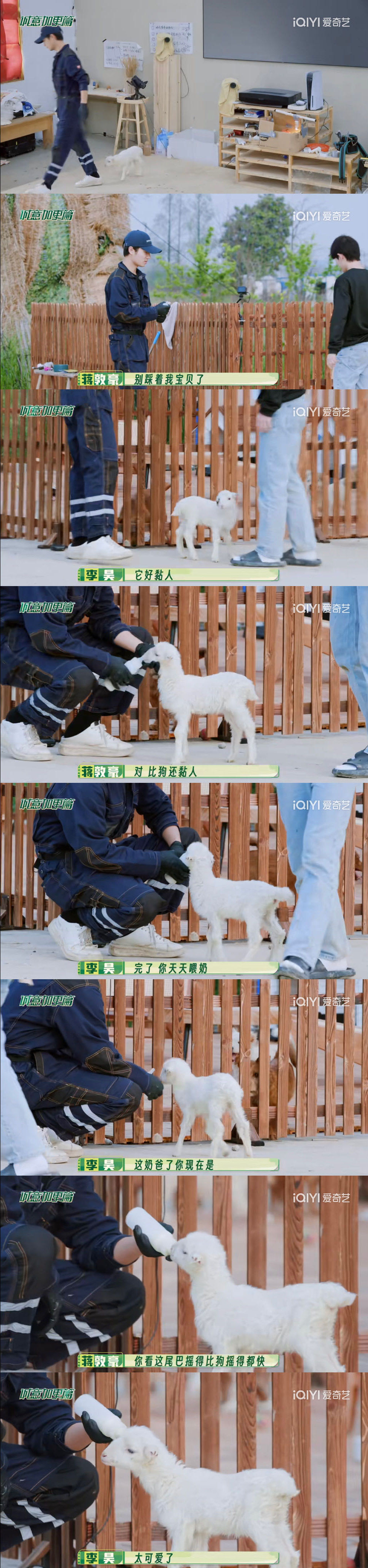 哎，晴天，我看节目的时差，是它短暂的一生。 ​​​