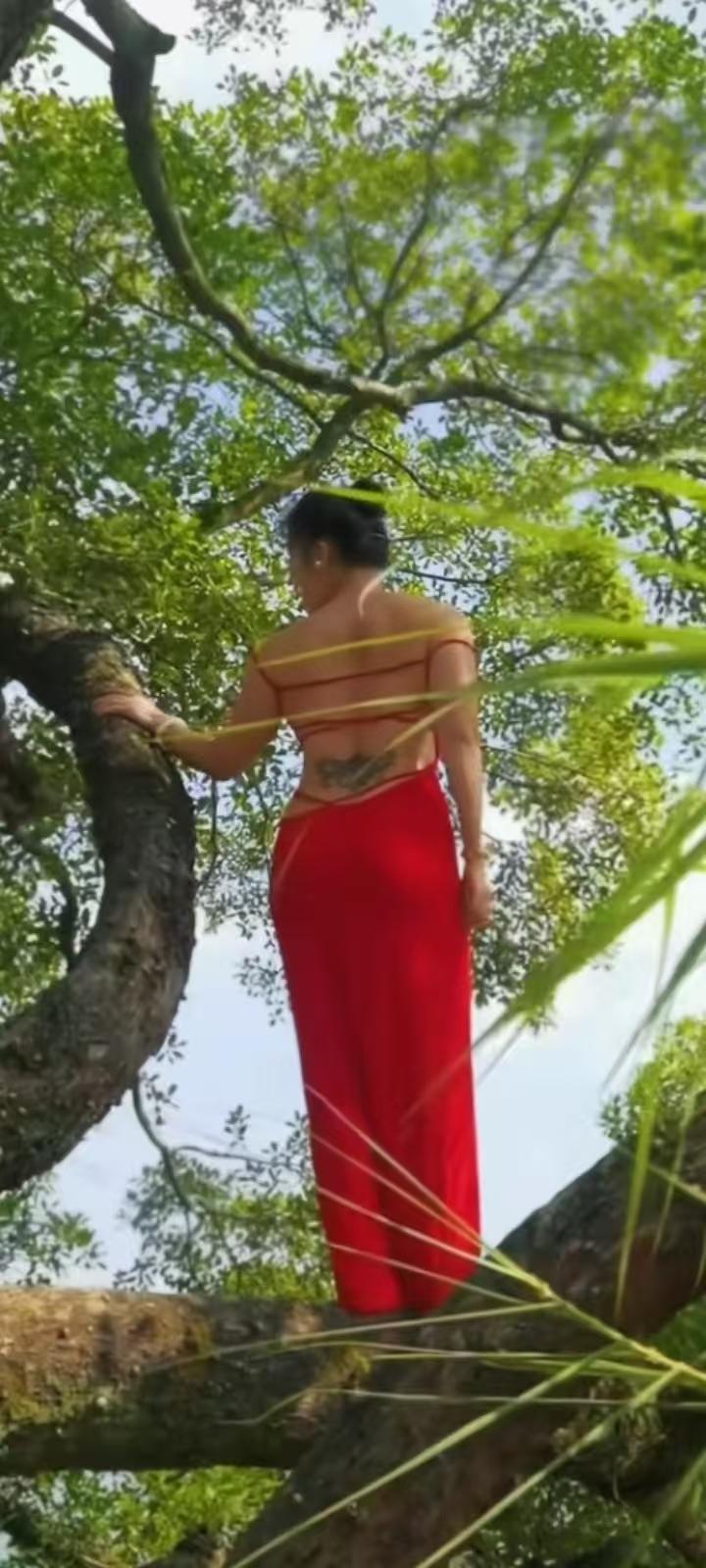 试对；

梅吐新蕊催人老
柳生闲烟逼岁除

******

网图侵删