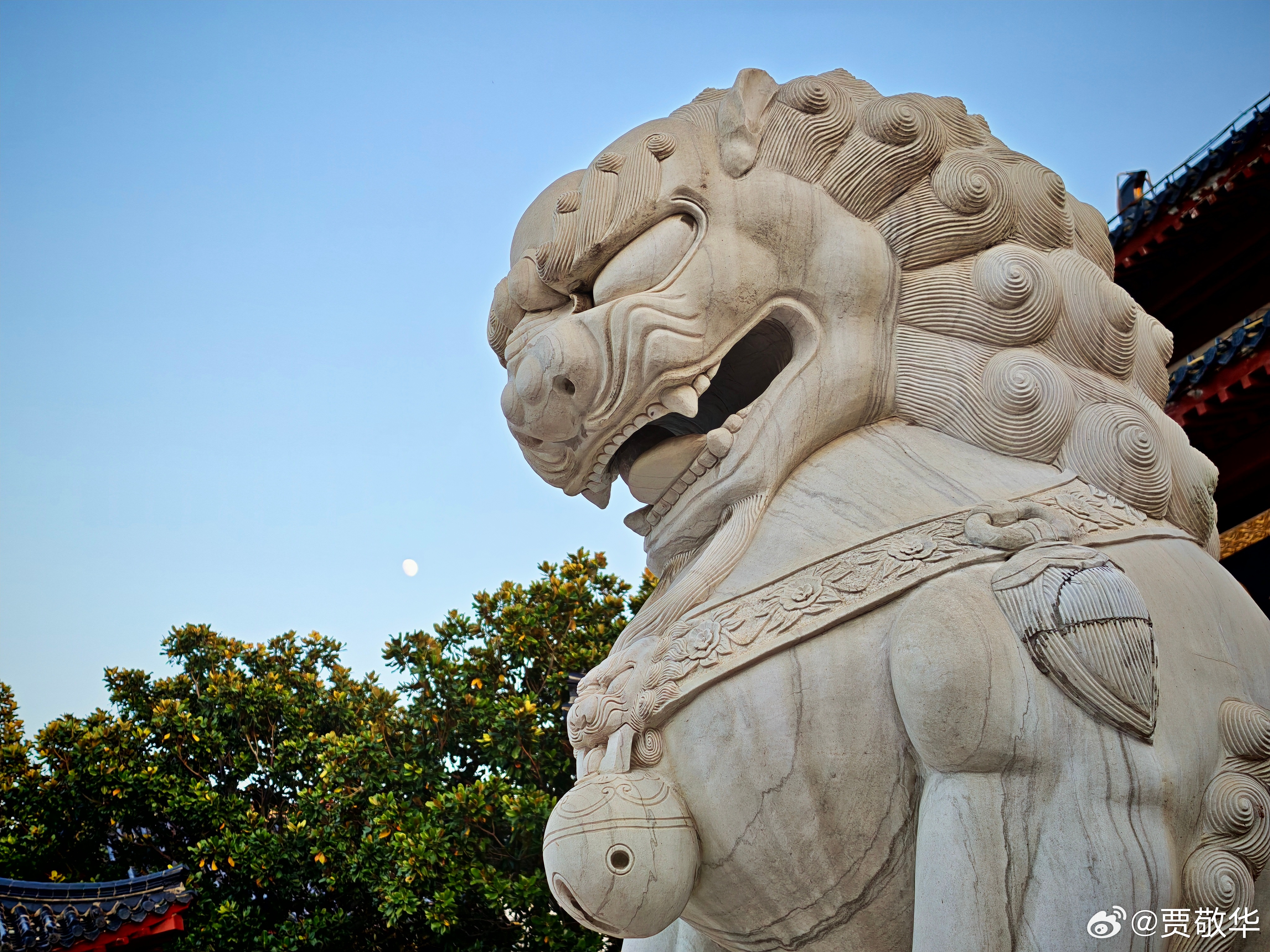 刚才用某品牌的安卓旗舰拍了几张照片，大家猜一下，这是哪款手机拍出来的照片。 ​​