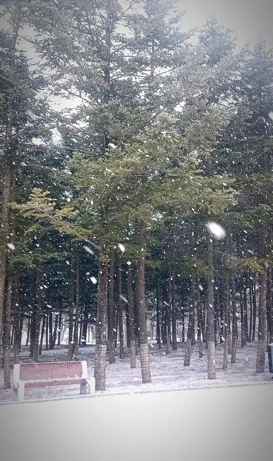 这没有什么值得奇怪的。长春的春天，下个雪，下个雨夹雪，太正常了！并且有利于春耕，