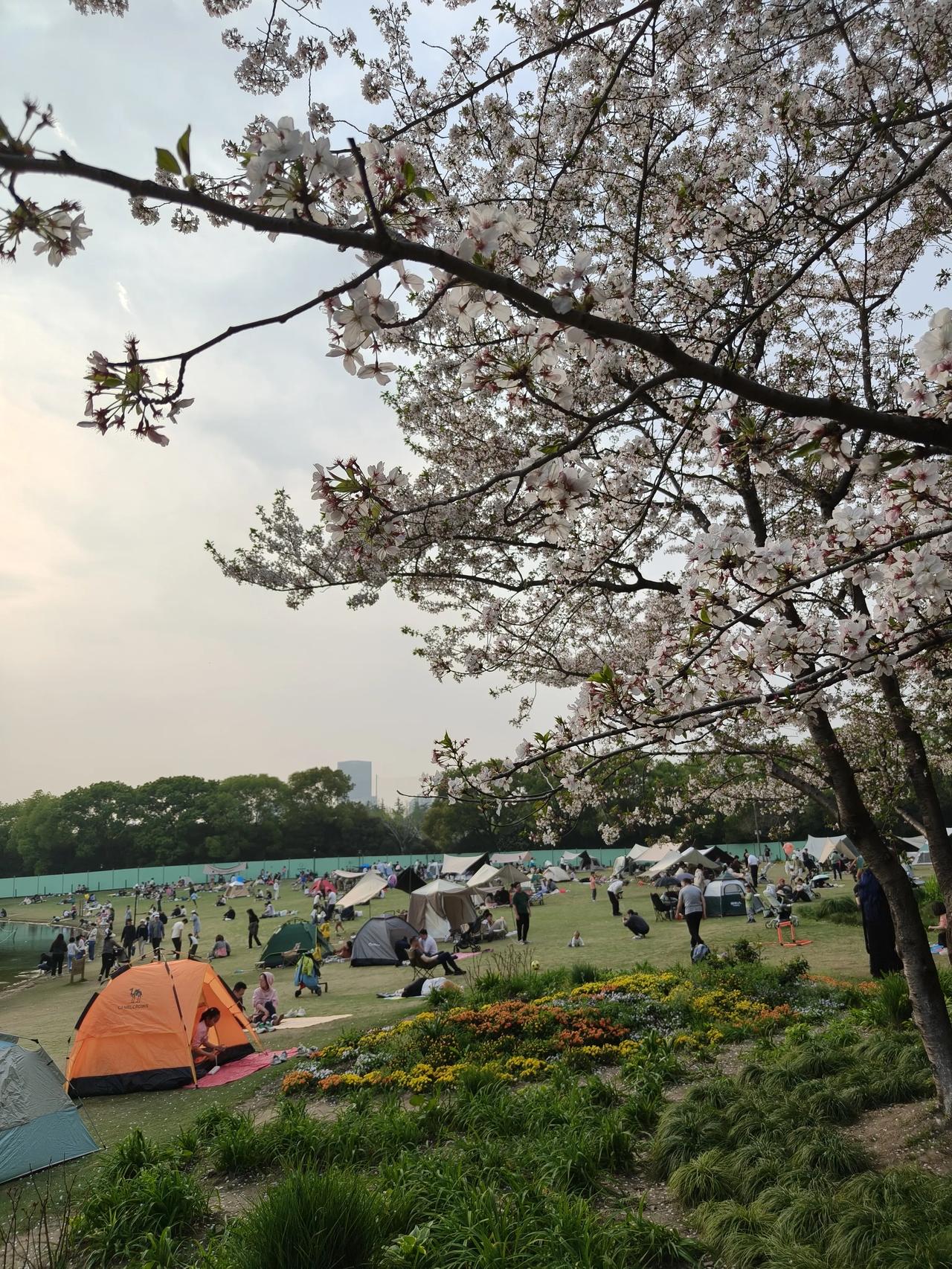 光阴不知觉，匆匆春已半

时间，像一阵风般掠过，在这座城市的大街小巷，匆匆也将绚