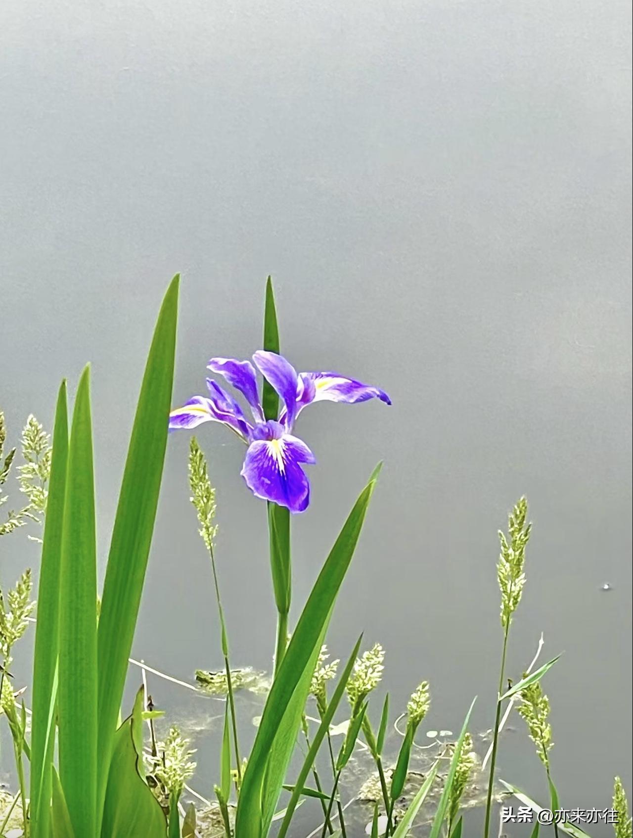 所谓高手自在民间，每个人身边，亦或朋友圈总有几个在某领域之精英，可谓出类拔萃，不