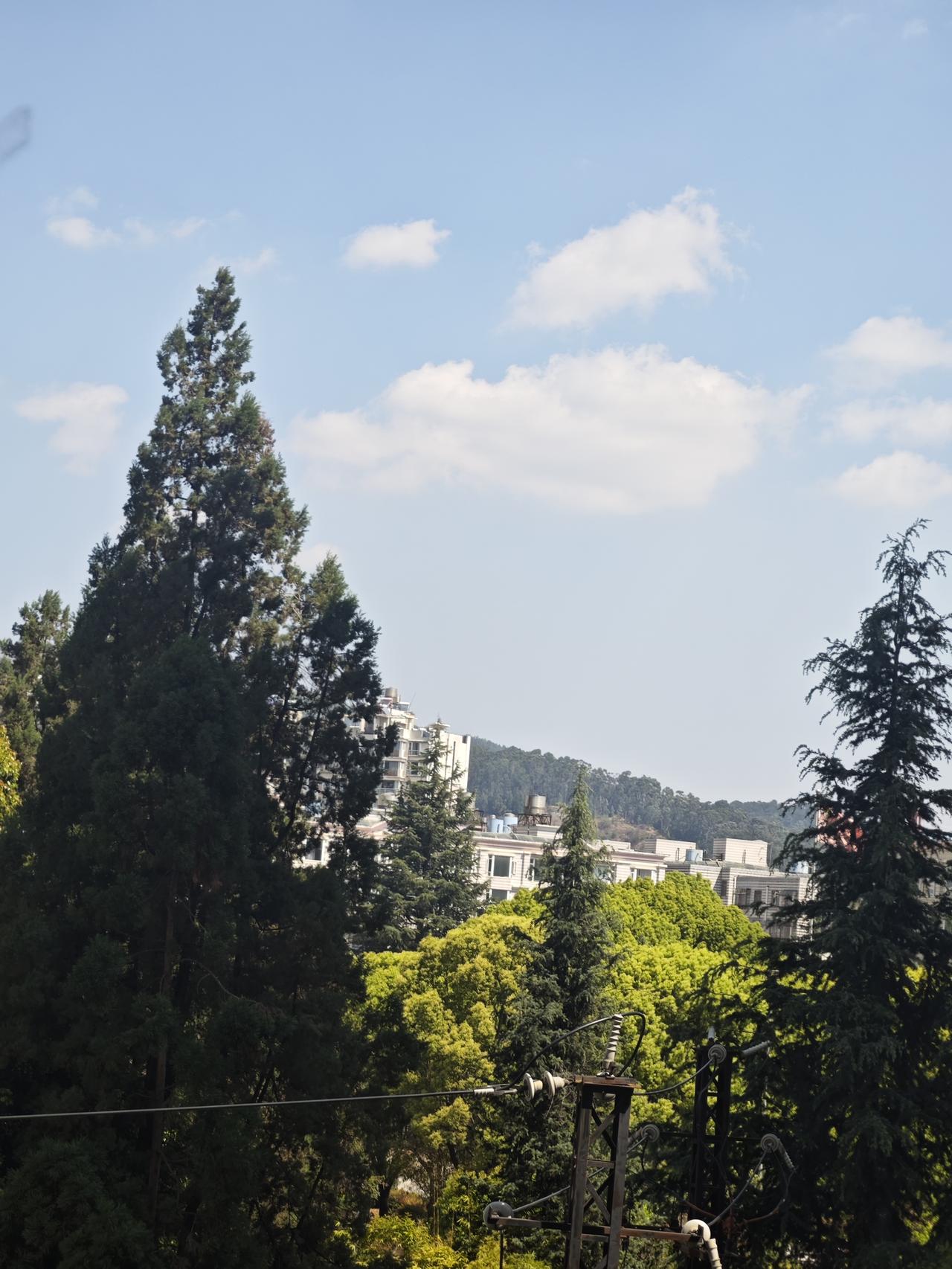 春日生活打卡季窗外绿意盎然，等风来，也等你。