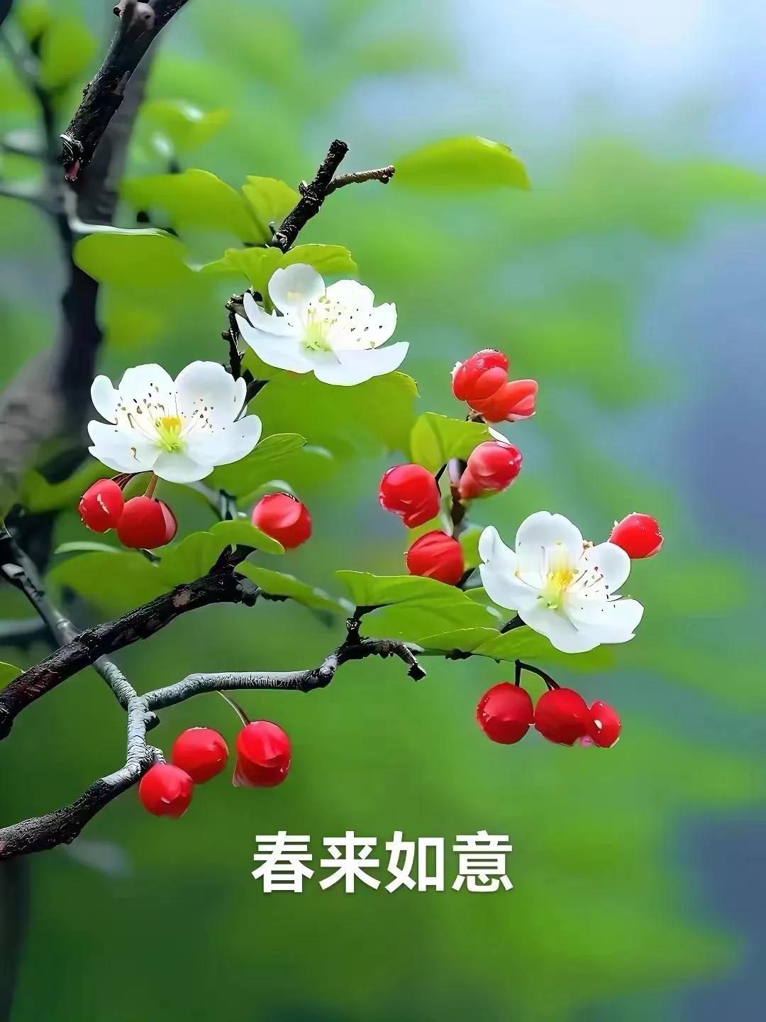 #生老病死，人活着是为了什么#为了实现“一个享受，两个贡献”:健康长寿，享受生活