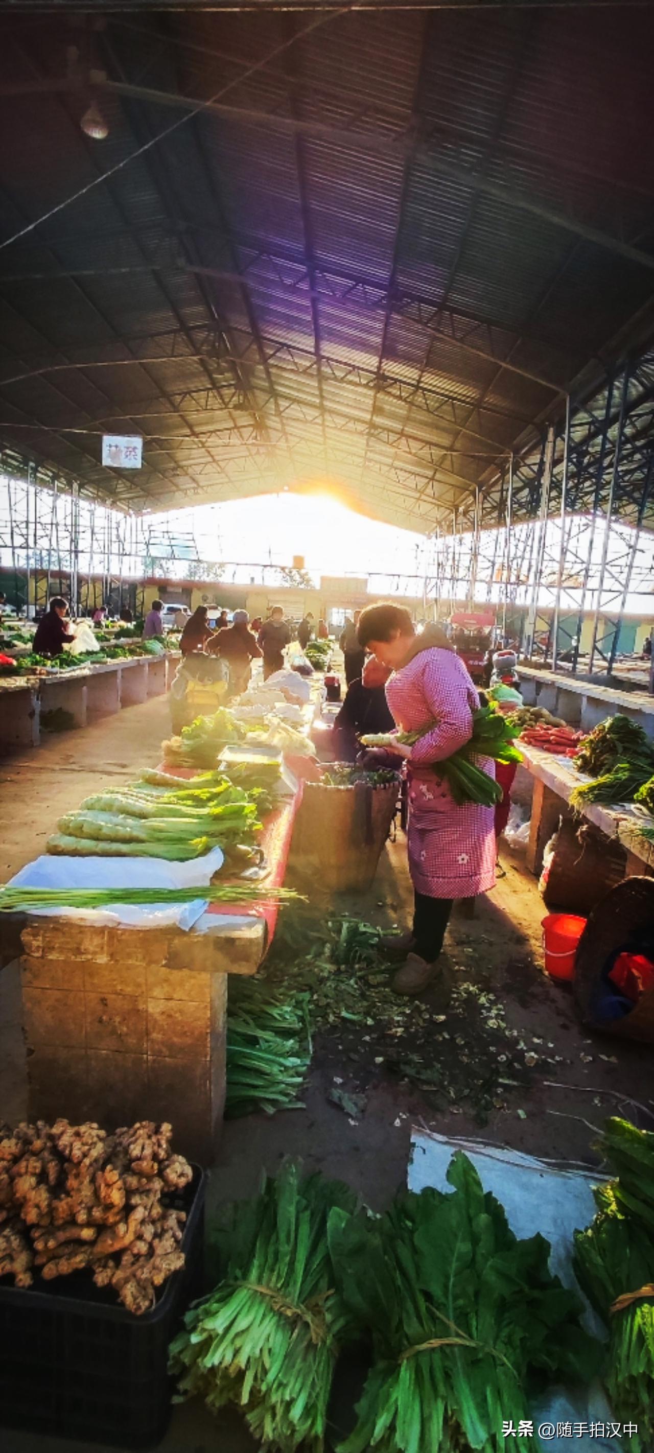 农贸市场里，春菜很多。瞅瞅，鲜嫩的春菜请走了腻味，带来属于春天的脆生生的清爽，这