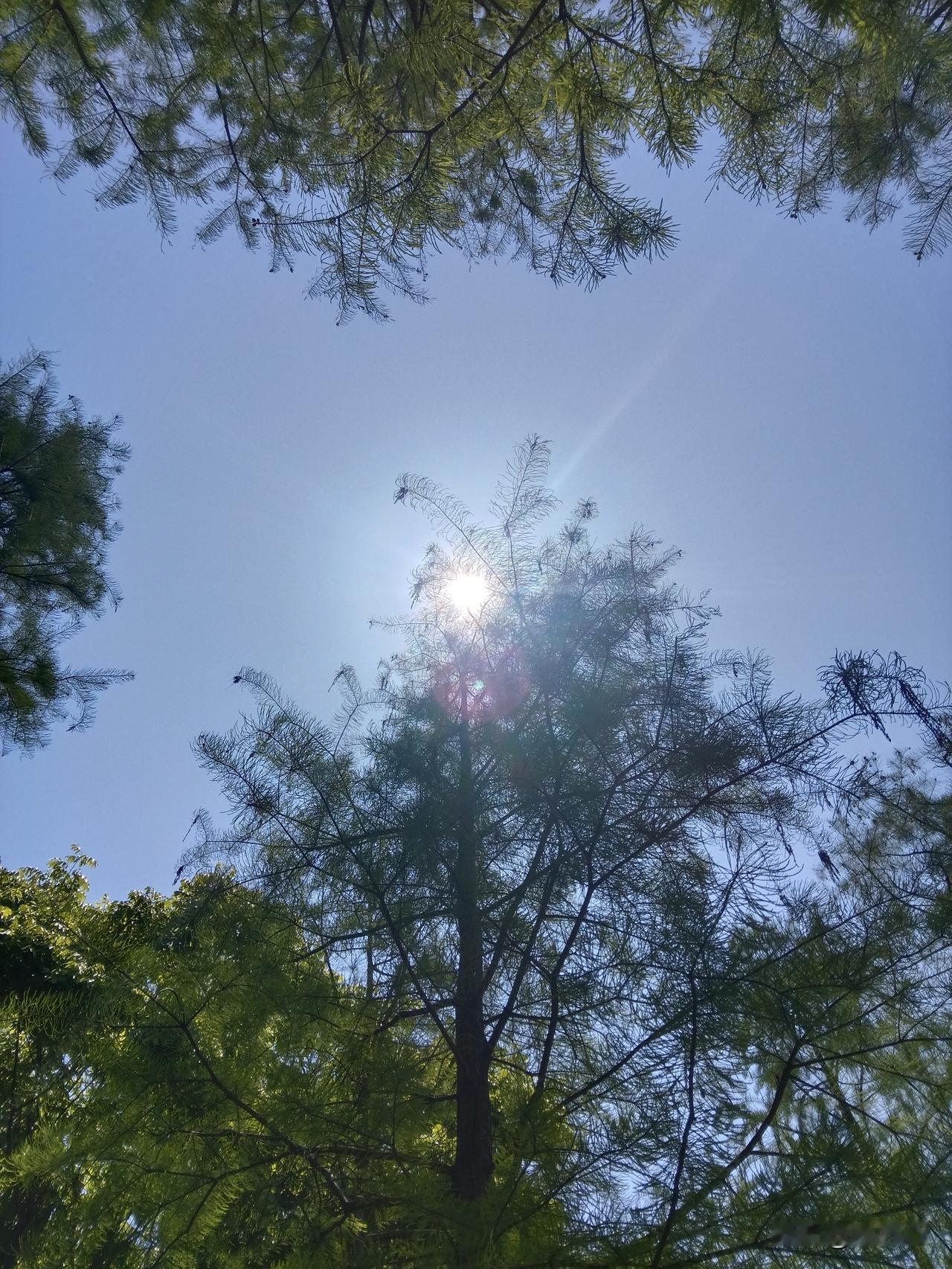 增长承压指的是经济基本面良好，但增速放缓，经济面临下行压力。当然，作为自媒体人，