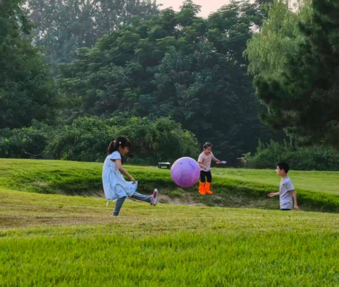 秋假来了，谁来看孩子？石家庄中小学首个秋假开启：家长喜忧参半

2026年9月2
