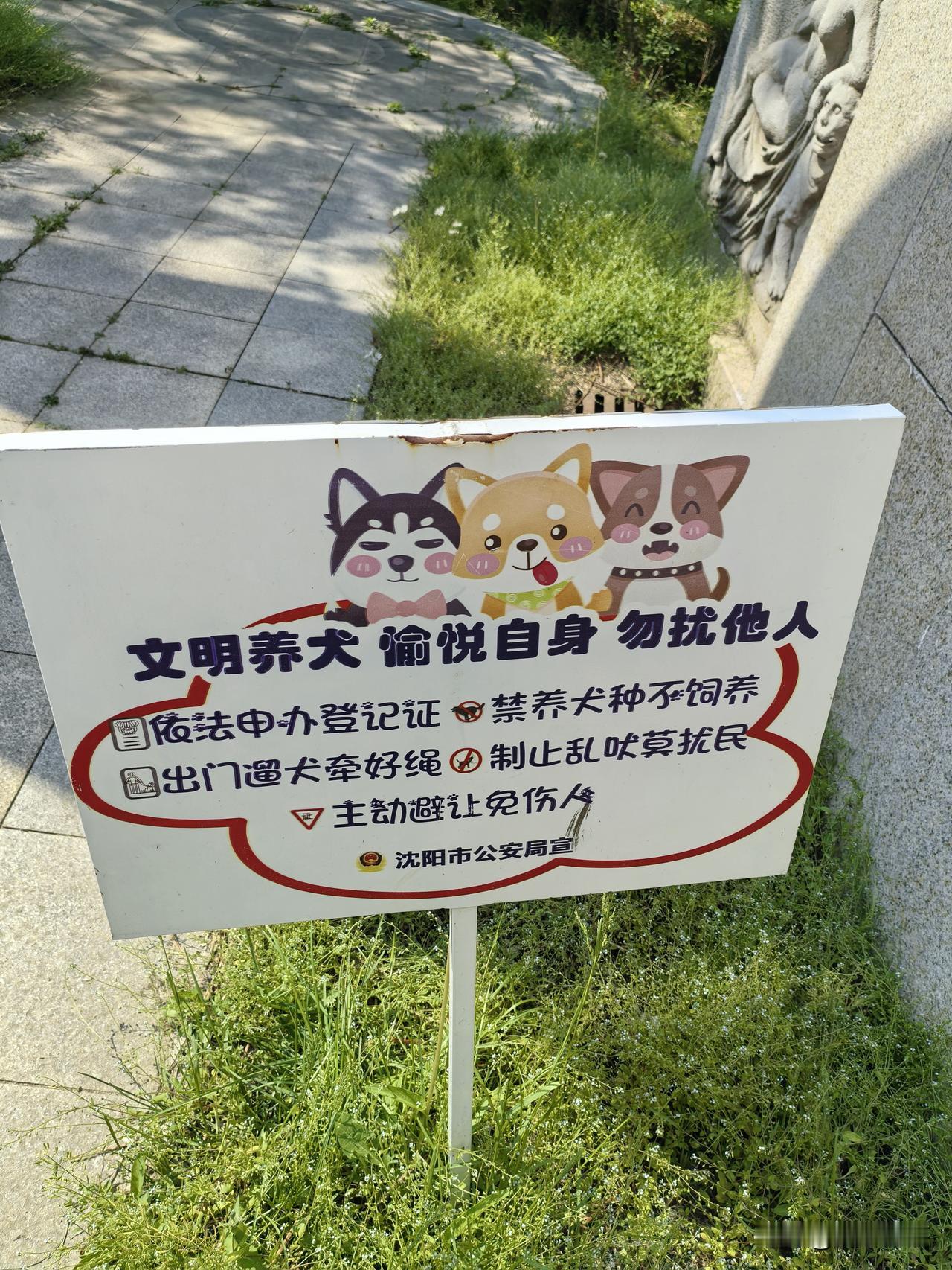 这个是所有养狗人态度
我养我的不打扰你是我的素质
你不喜欢我也不能迁就你不养