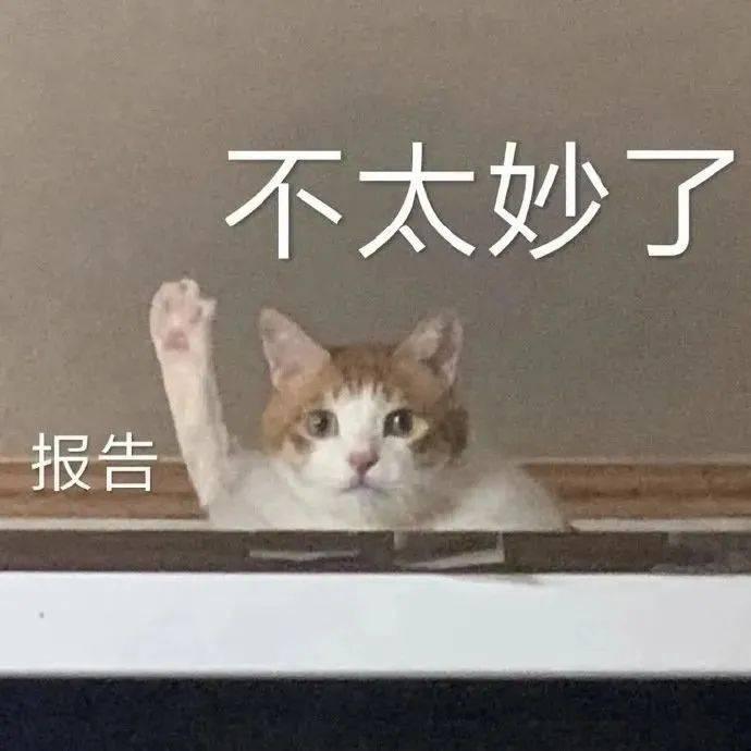 以下哪个选项表示情况不妙？

A、好了好了这下好了
B、好了好了这下坏了
C、坏