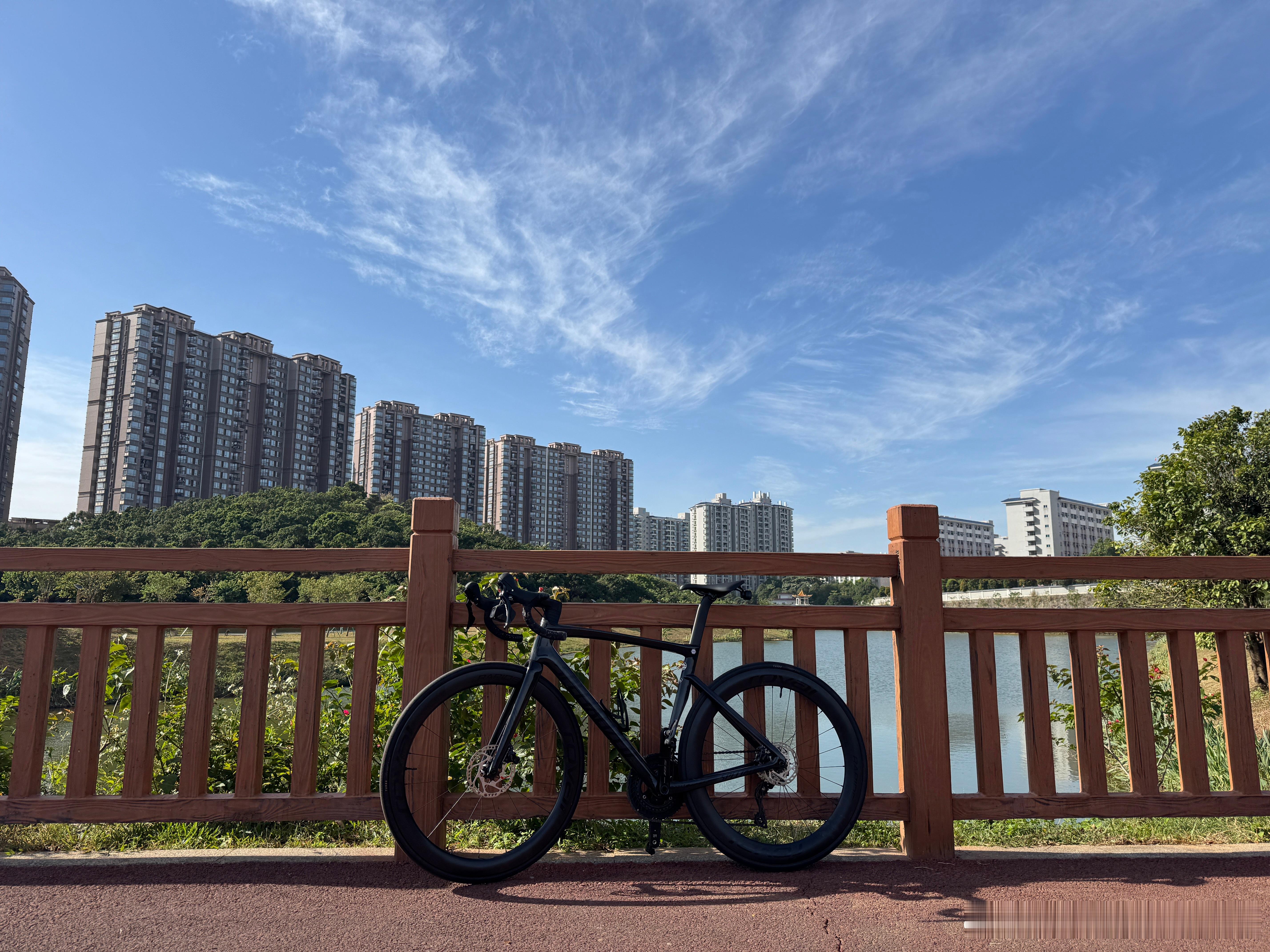 快12月了还能出门酣畅淋漓的骑车我爱我大广东 