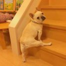 听莺热说法律