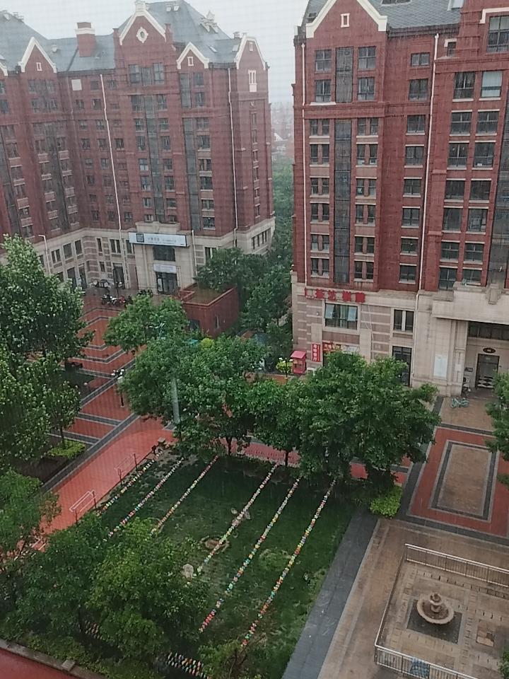 天津今天中雨🌧，昨晚其实就开始下了，但今天早晨看着雨量不大，还一度停过。

不