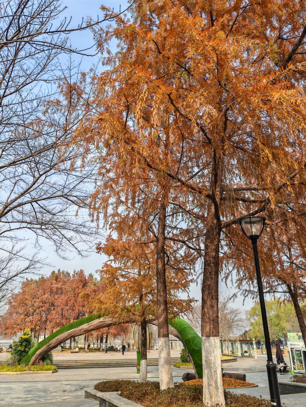 慢涨，买
急涨，卖
急涨慢跌是出货，
急跌慢涨是洗盘。
知道这些口诀也逃不掉被收