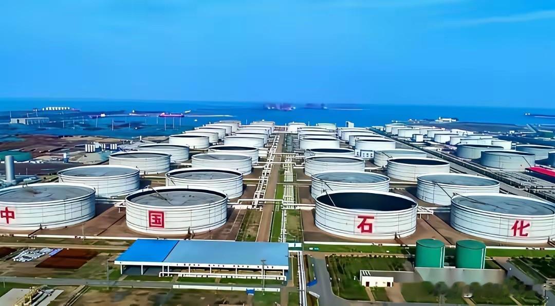 海峡封锁！日本低头求俄，中国稳坐全球石油储备第一，差距一目了然
 
霍尔木兹海峡