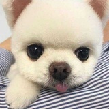 胖溜热聚娱乐