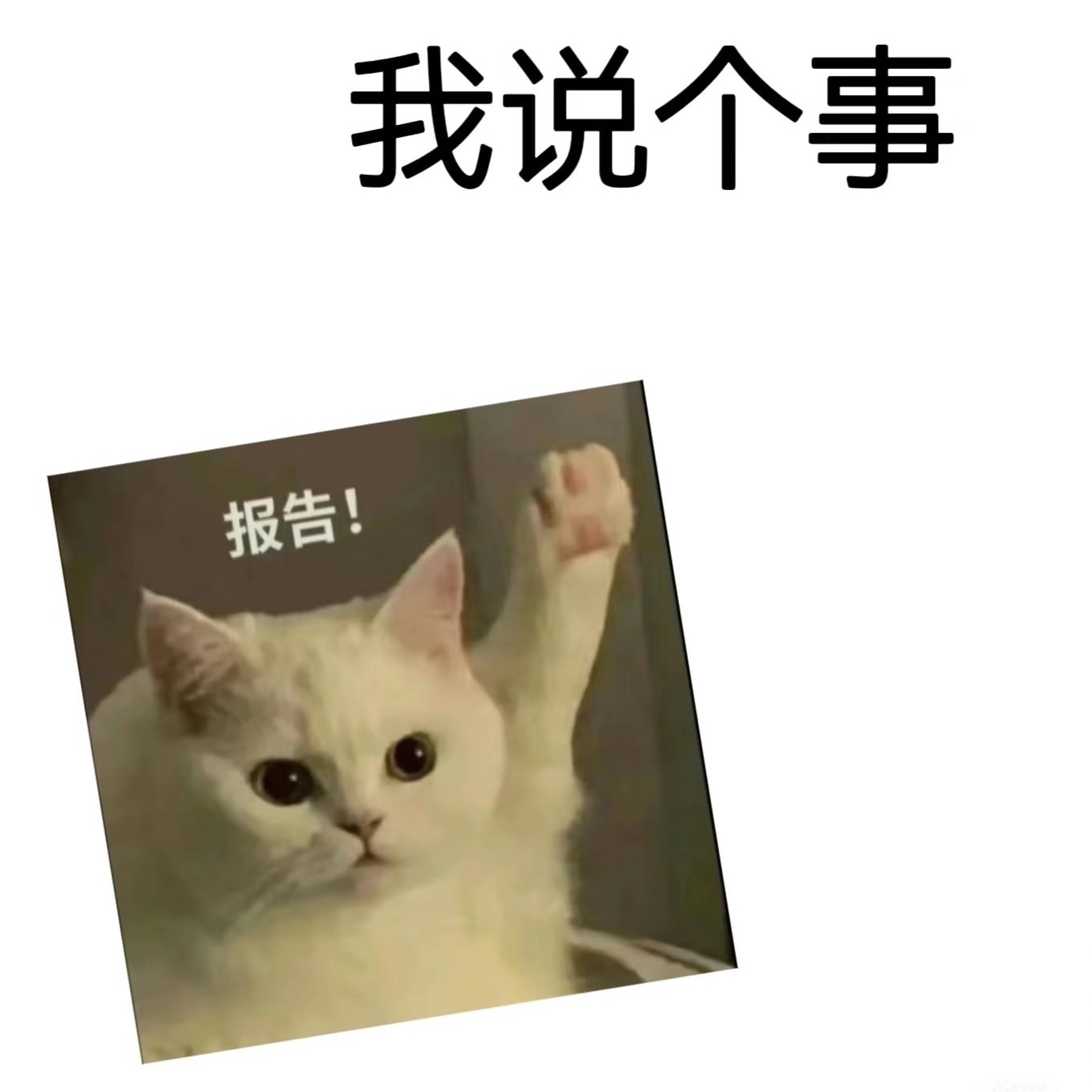 这几件事一起来❗️❗️1️⃣签到超like所有人先去王一博 签到，然后把超lik