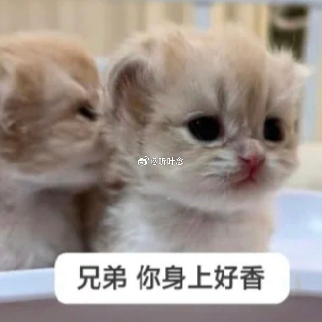 我是不会放过任何角色寡妇塑的 死了老公的小美人才是最带感的[流鼻血][流鼻血][