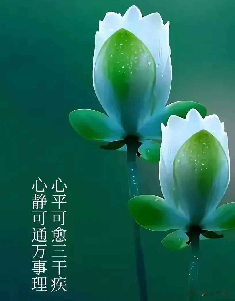 《一剪梅·情伴流年》

福运常栖鬓影边，
谊锁心田，
缘系流年。
欢声朝暮伴身前