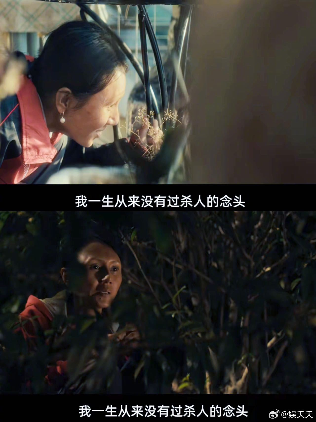 蜂蜜的针真正的恶女叙事 十年前的片子放现在看依旧超前，根本不是俗套爱恨。袁泉演的