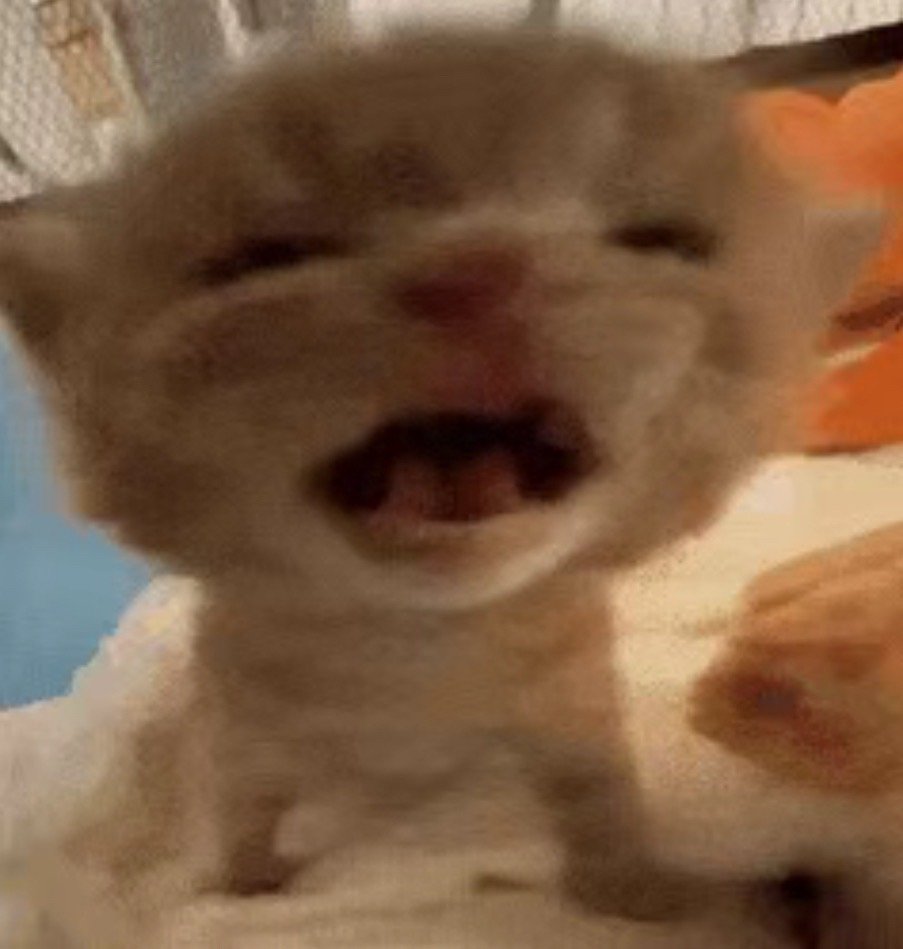 诶我发现搞半天这双十一又返璞归真了，还是天猫便宜点，我将严肃备战那个我已经期待了