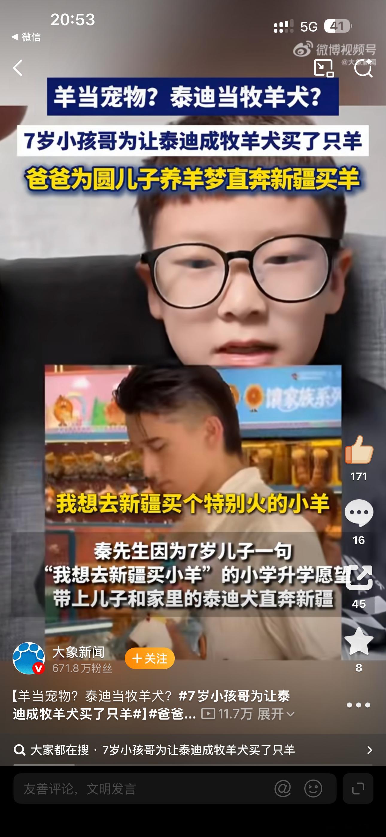 7岁小孩哥为让泰迪成牧羊犬买了只羊真的被这位爸爸的执行力治愈了！小孩子的想法总是