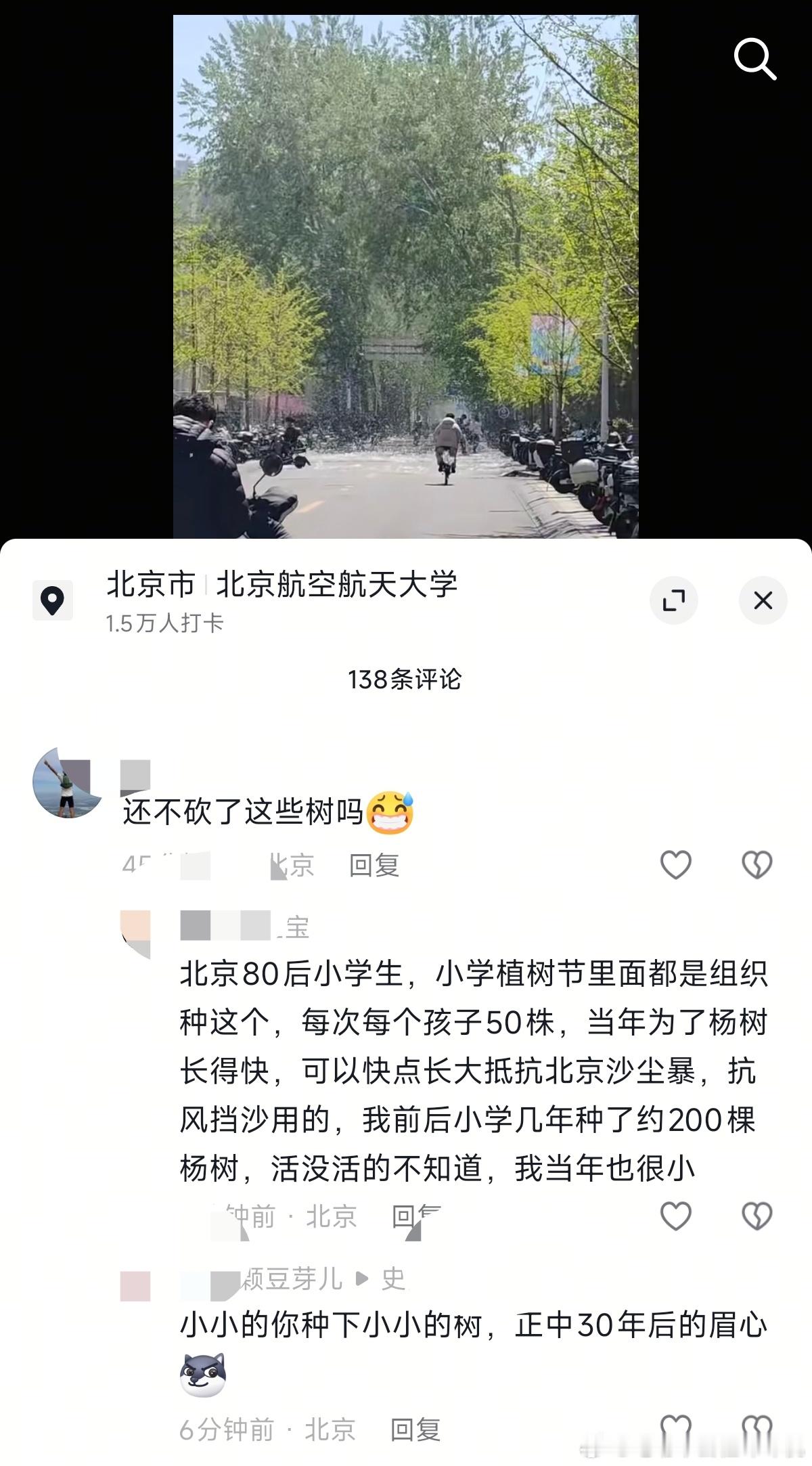 北京春天杨絮多居然是因为这个吗？北京下雪