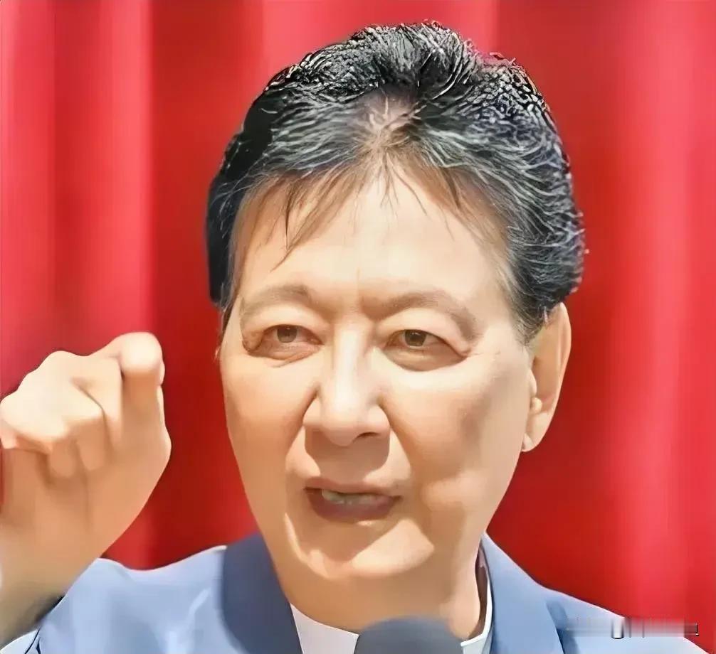 赵少康真是美国的一条好狗！在这种时候迫不及待的跳出来，质疑国民党副主席季麟连背后