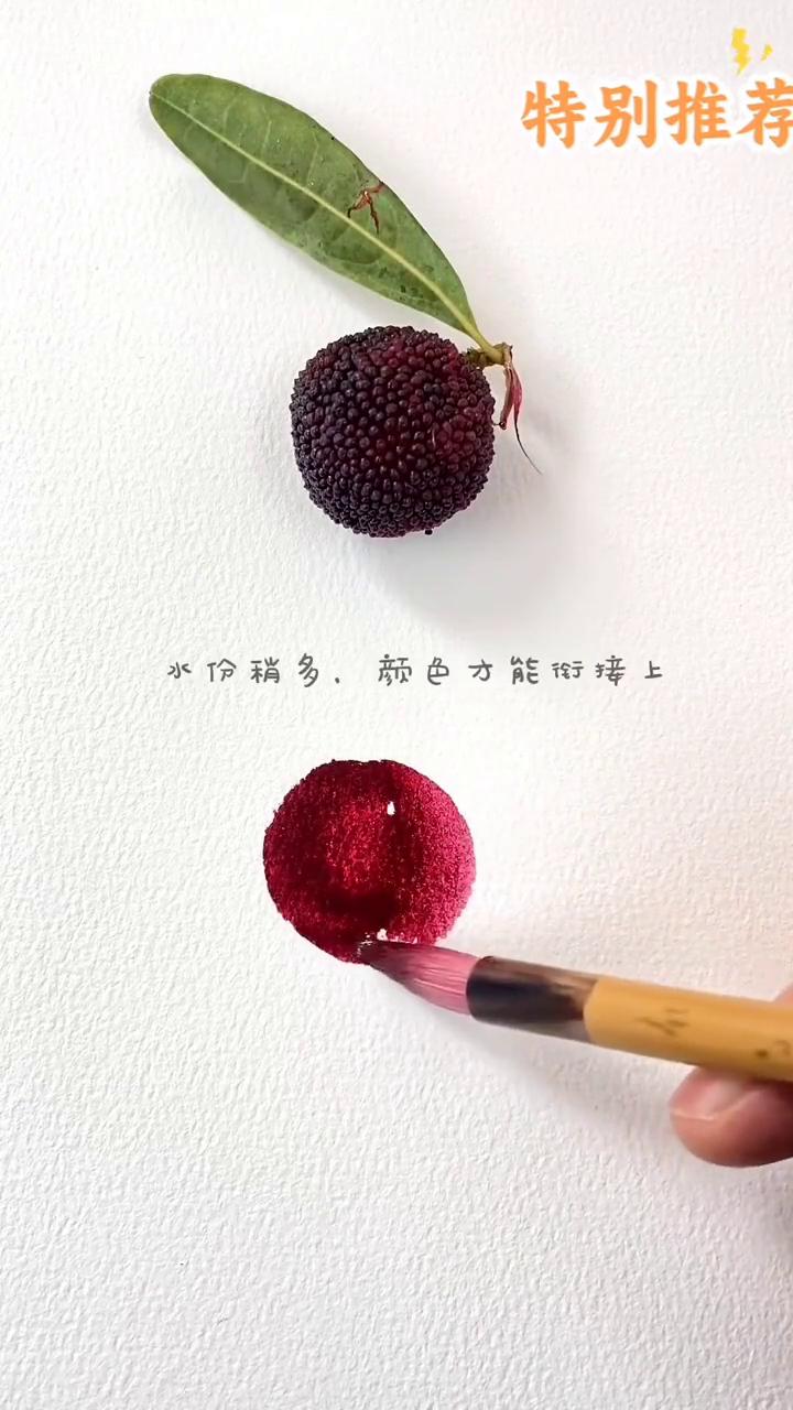 特别推荐：传播美术知识。
杨梅画法：
·毛笔上沾取酒红色，水份稍多，颜色才能衔接