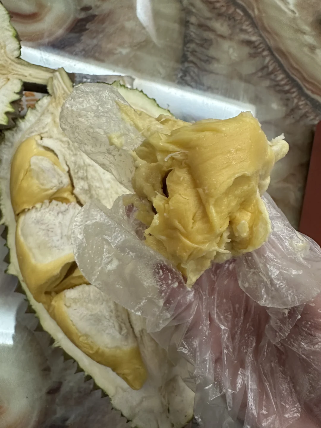 1800元一颗的松鼠王榴莲 测评