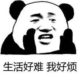 我是想问一下大家在最难的时候都是怎么挺过来的？

我是20年毕业的，去年毕业之后