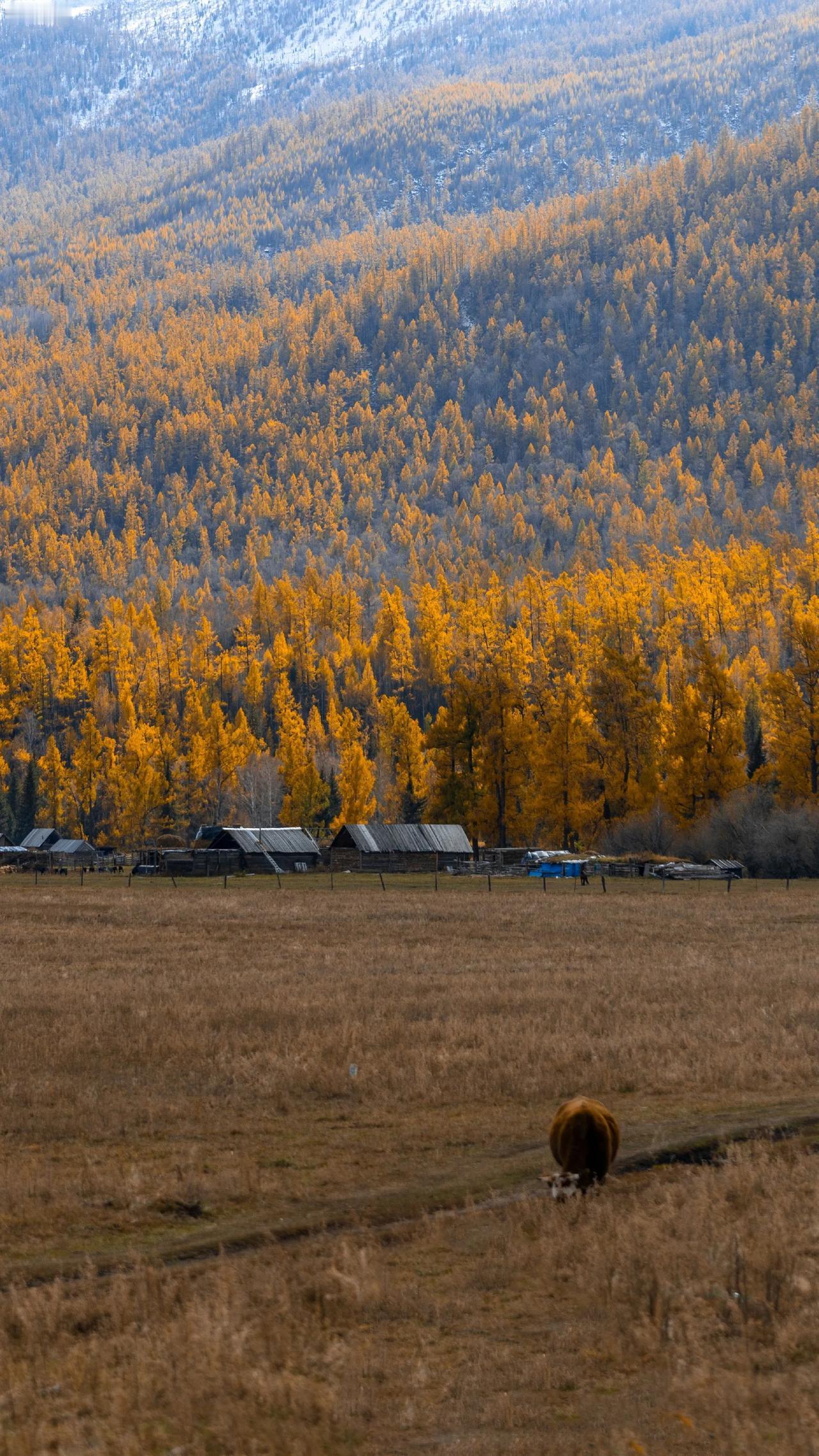 物质和物性的区别？ 物质就是物的结构和构造，物性就是物的能量特征。比如人，一个健