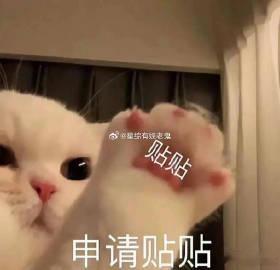 #国产大模型的抗干扰能力有多强#面对这样的大环境，国产大模型能够得到如此的发展，