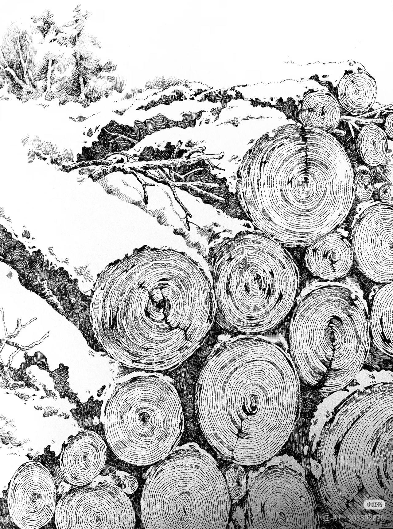 不知道为什么有关部门，允许日本住友金属松本健一来我国稀土提炼厂考察，他竟然还晒出