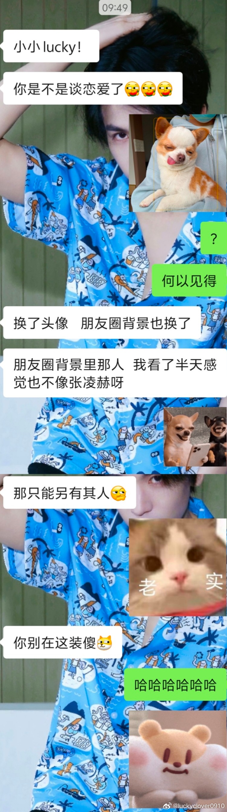🤫 我当初选这个背景图就是觉得隐蔽笑鼠 
