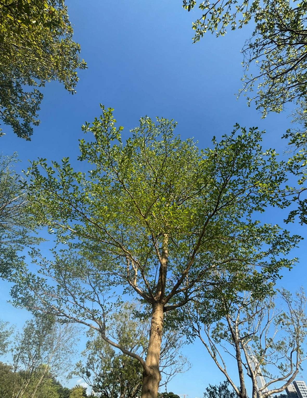 今年暑假我问我老头要一千块钱买个垫子，他抱怨不停，絮絮叨叨，总之不想给，气得我心