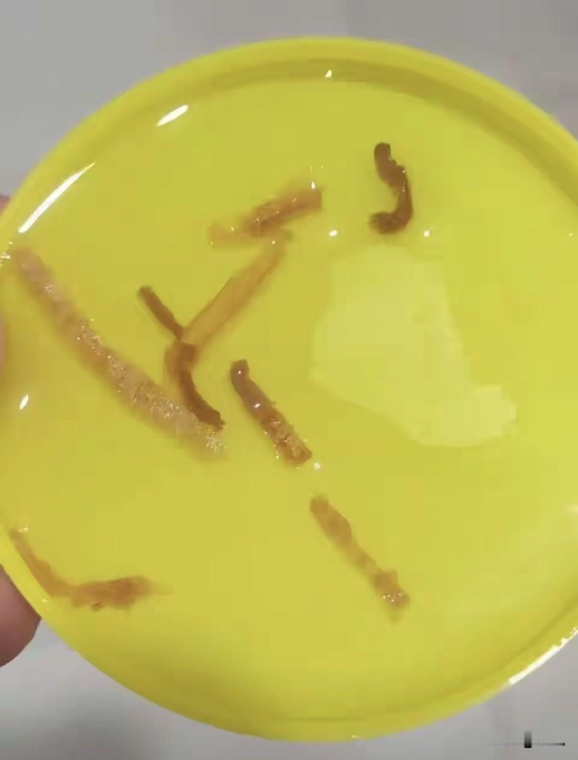 “支持送检。”

食品企业一说出这四个字，很多消费者就不吭声了。

白象这次又说