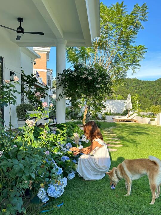 人生建议，退休后整个小院🥶