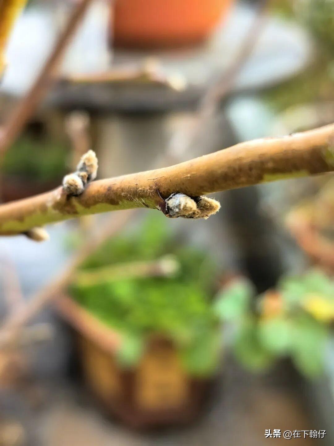 四川话里最常用的是 “爬” 或 “爬开”（pá kāi）。

根据语气和语境，也