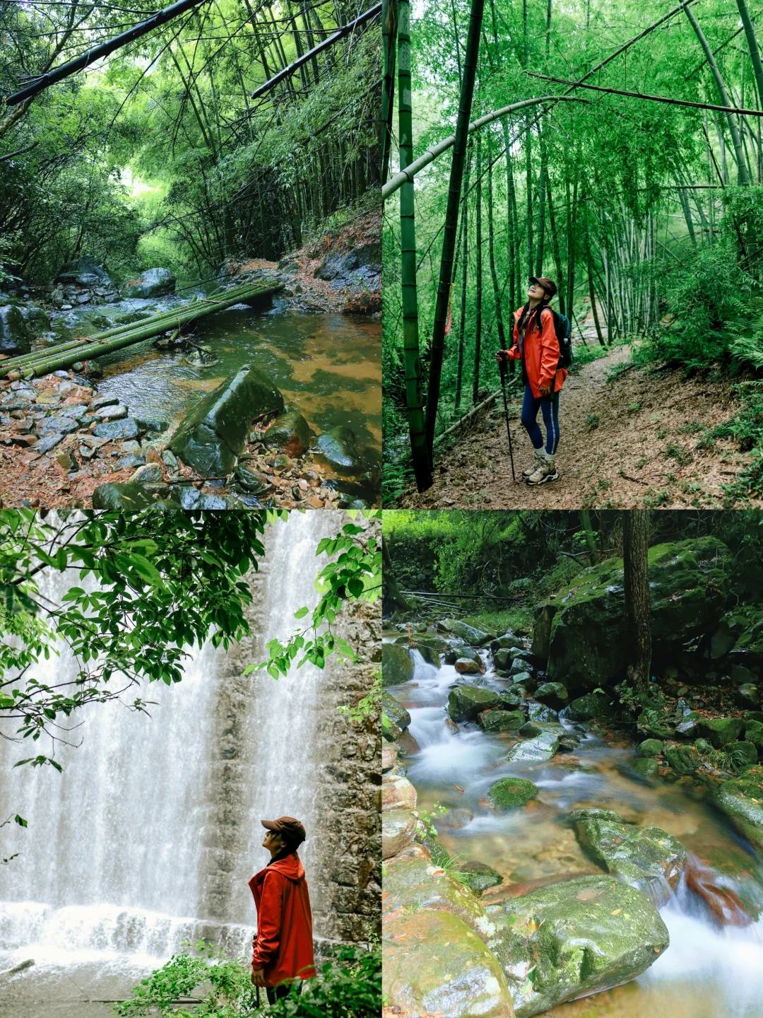 江浙沪徒步Ⅰ夏日宝藏‼️雨徒溪水古道❗️