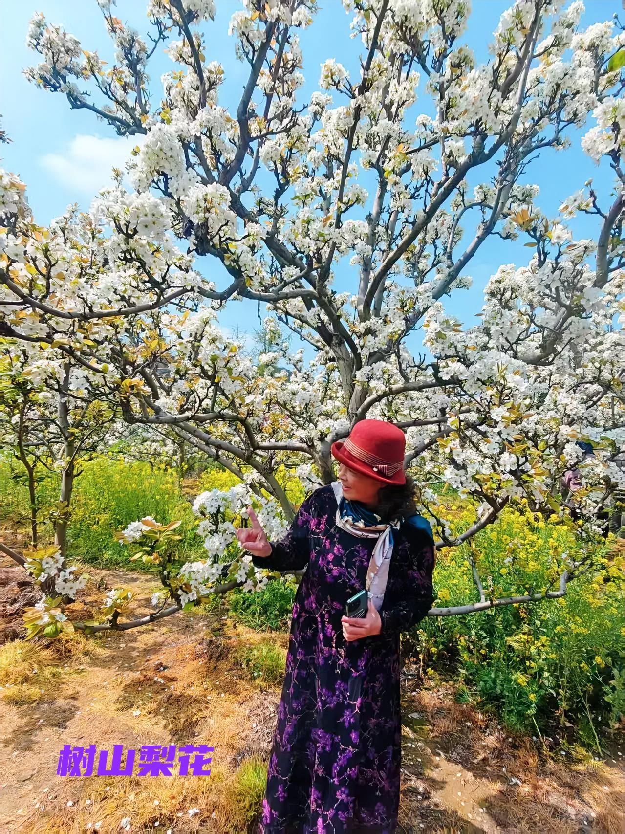 发一张你相册最近拍的花四月一号去了树山赏梨花，千树万树梨花开。梨花观赏地