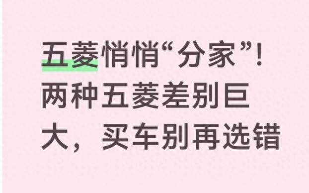 同一个车标，“国民神车”，“网红新贵”，你买的是哪个五菱？